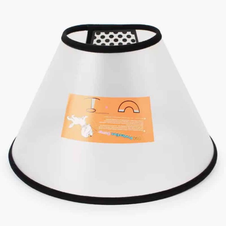 Pet Training Supplies Click Sound Clicker Dog Supplies Training Sounder Clicker Sound Guide Durable Training Clicker for Dog photo review