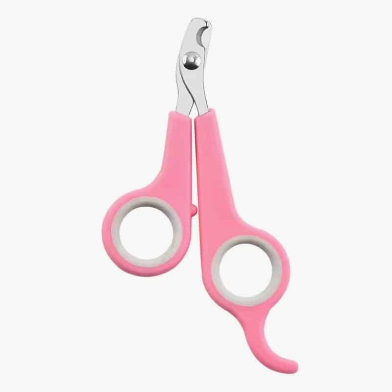 4PCS Pet Supplies Cat Teaser Wand Refill Funny Butterfly Kitten Teaser Stick Replacement Refill Attachment Plush Tassel Cat Toys photo review