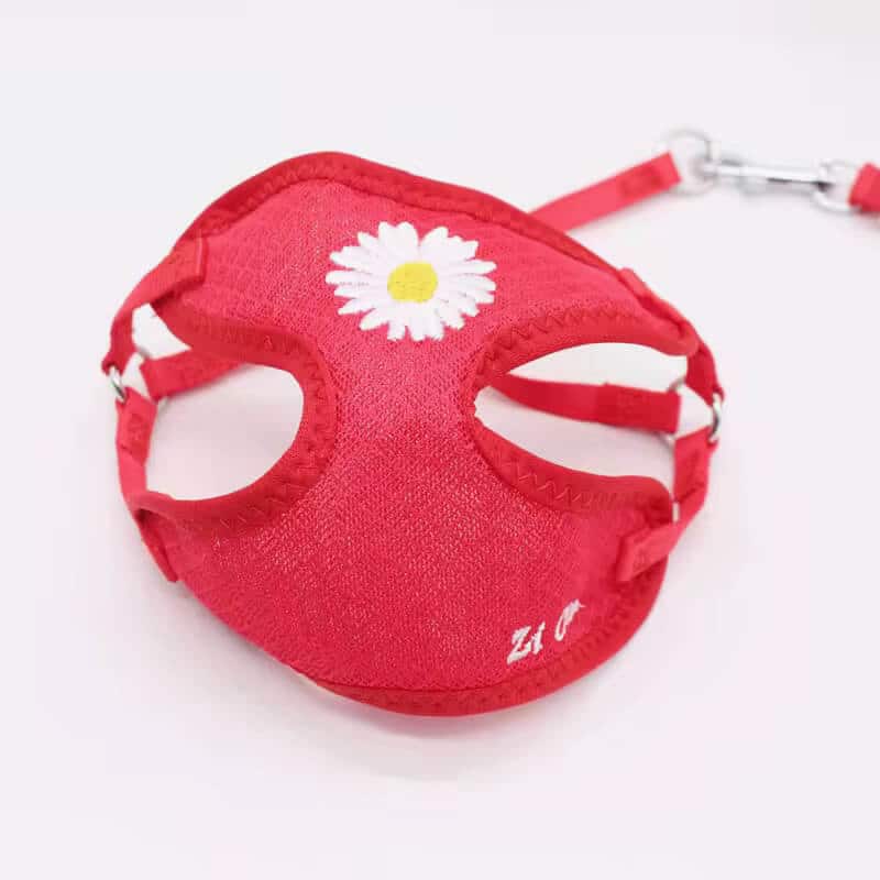 Korean Candy Color Embroidery Breathable Small Pet Dog Harness and Leash Set Soft Nylon Puppy Walking Vest for Chihuahua Yorkie