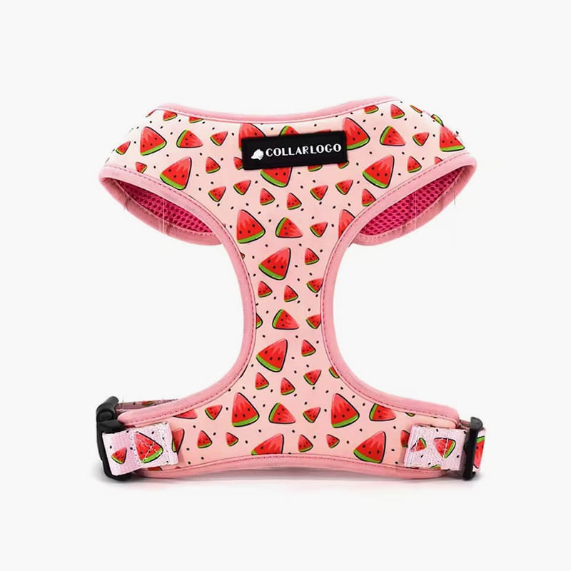 Collarl Adjustable Pet Dog Collarlogo Durable Soft Cute Creative Watermelon Design Leash Neoprene Harness Poop Bag Dispenser