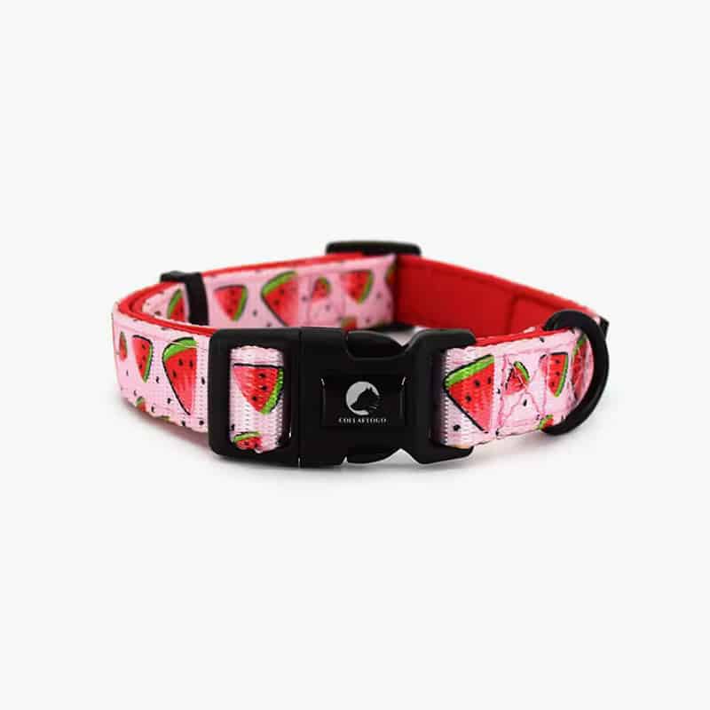 Collarl Adjustable Pet Dog Collarlogo Durable Soft Cute Creative Watermelon Design Leash Neoprene Harness Poop Bag Dispenser