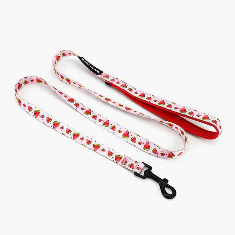 Collarl Adjustable Pet Dog Collarlogo Durable Soft Cute Creative Watermelon Design Leash Neoprene Harness Poop Bag Dispenser