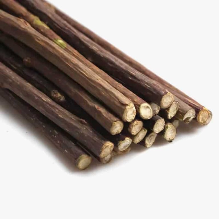 Korean Candy Color Embroidery Breathable Small Pet Dog Harness and Leash Set Soft Nylon Puppy Walking Vest for Chihuahua Yorkie photo review